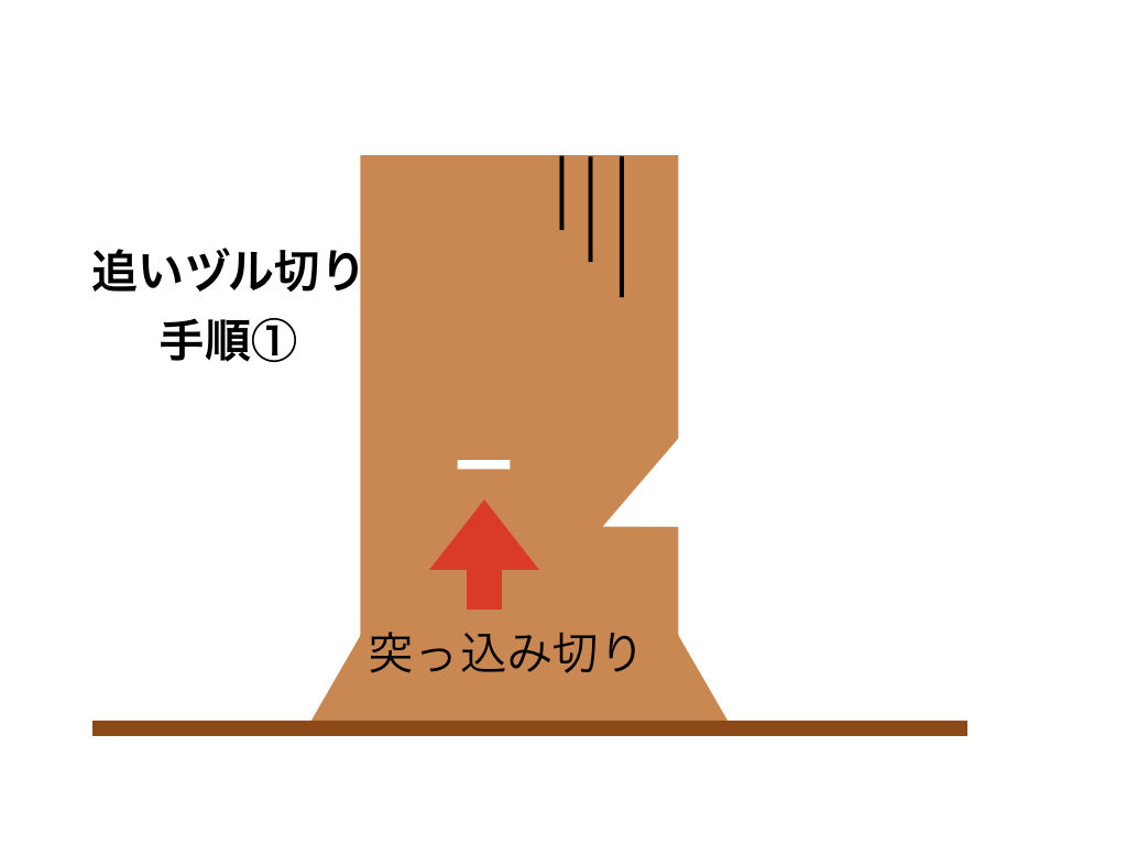 伐倒 追い口切りより安全で確実な 追いづる切り を解説します きこりやろう